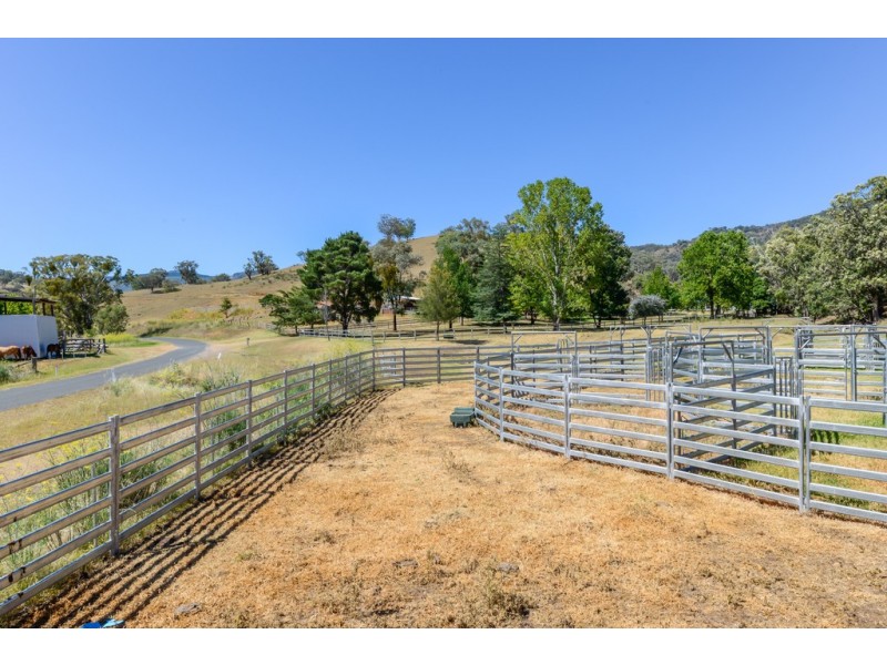 844 Duncans Creek Road, Woolomin NSW 2340