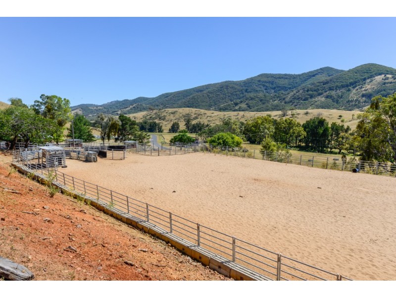 844 Duncans Creek Road, Woolomin NSW 2340