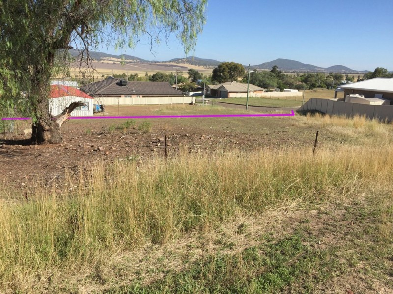 12 Mitsel Close, Werris Creek NSW 2341