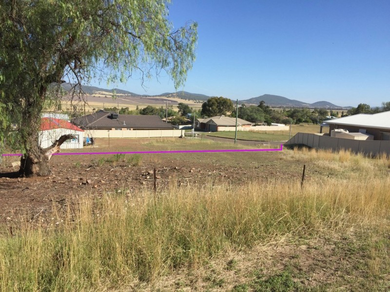 12 Mitsel Close, Werris Creek NSW 2341