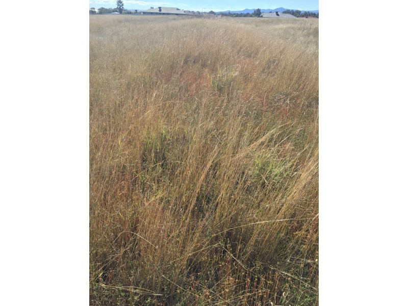 Lot 15 Warwick Road, Tamworth NSW 2340