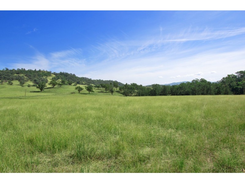Tamarang Mulla Creek Road, Tamworth NSW 2340