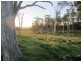 5874 Brackendale Road, Nowendoc NSW 2354