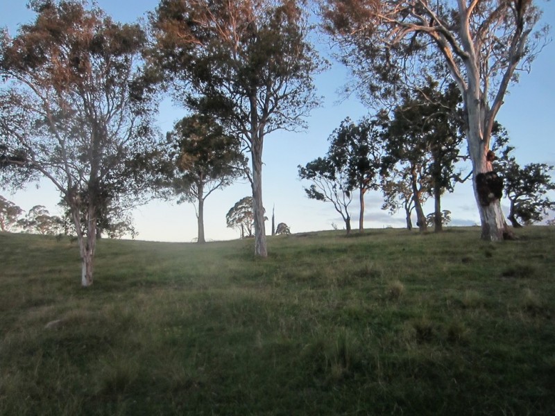 5874 Brackendale Road, Nowendoc NSW 2354