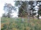 5874 Brackendale Road, Nowendoc NSW 2354