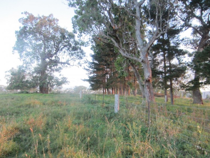 5874 Brackendale Road, Nowendoc NSW 2354