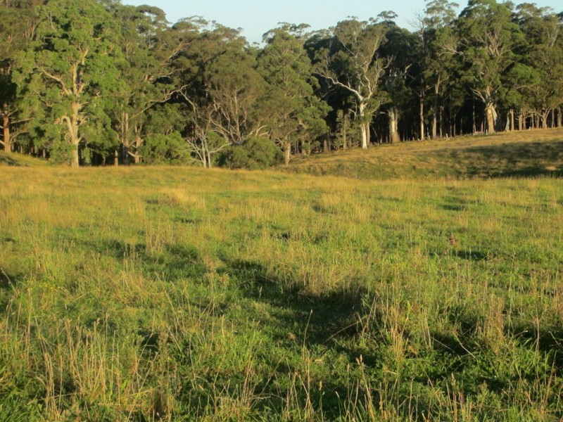 5874 Brackendale Road, Nowendoc NSW 2354