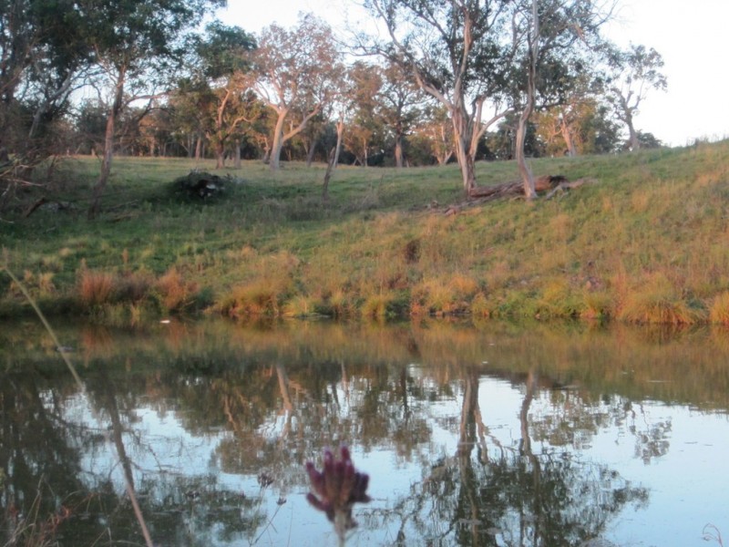 5874 Brackendale Road, Nowendoc NSW 2354