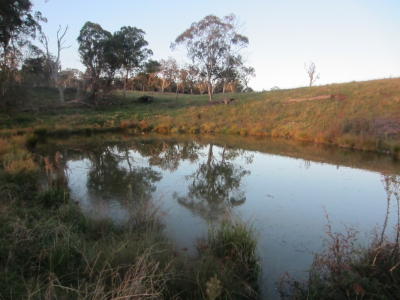 5874 Brackendale Road, Nowendoc NSW 2354