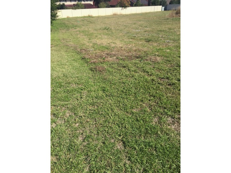 37 Ebony Close, Tamworth NSW 2340
