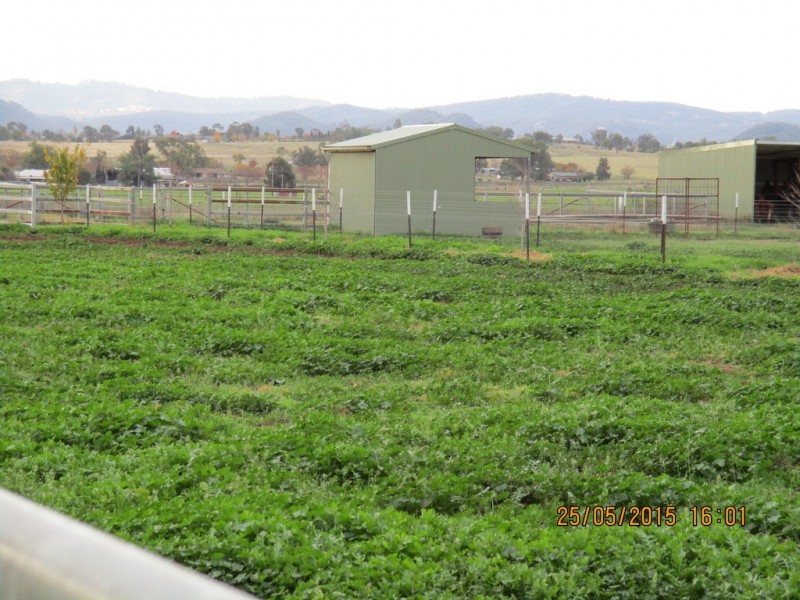 62 Walmar Road, Tamworth NSW 2340