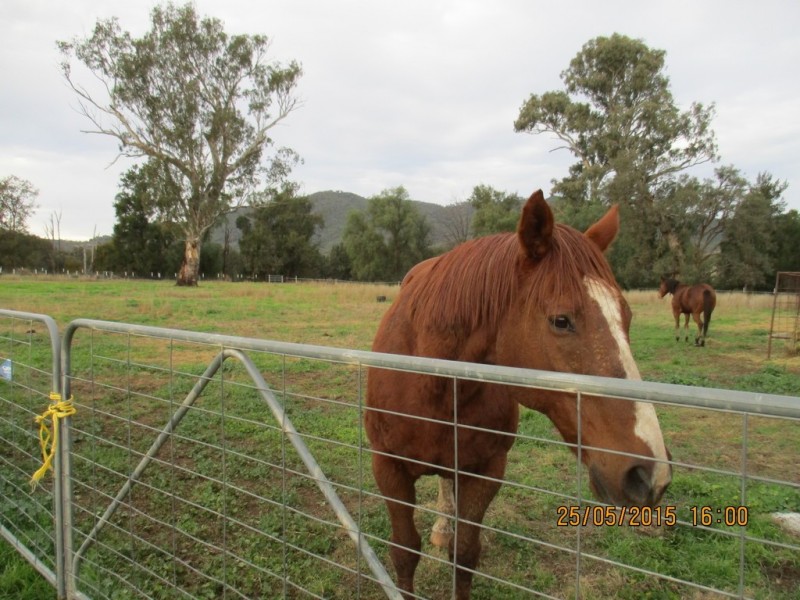 62 Walmar Road, Tamworth NSW 2340