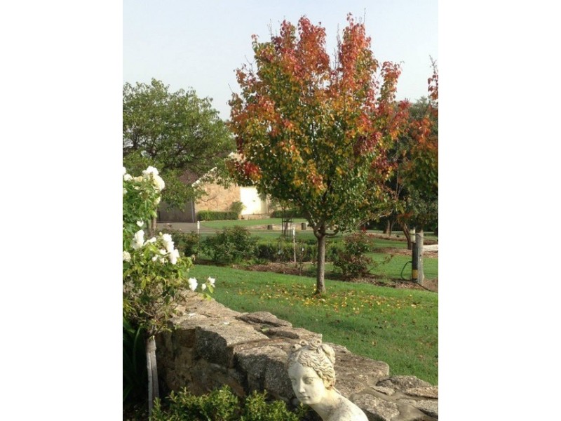 80 Wyndham Close, Daruka NSW 2340