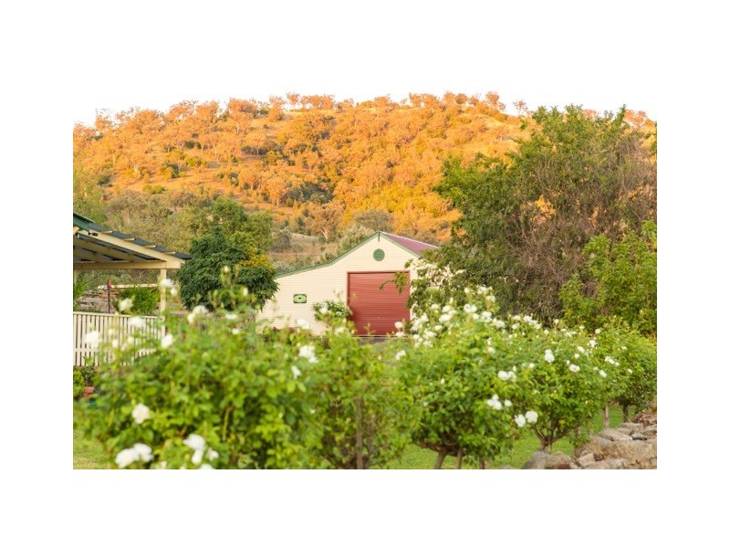 80 Wyndham Close, Daruka NSW 2340