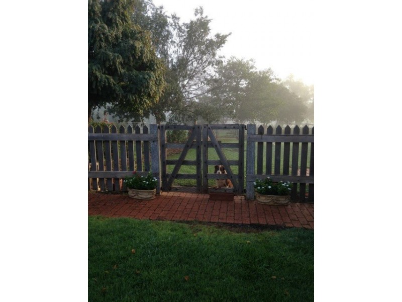 80 Wyndham Close, Daruka NSW 2340