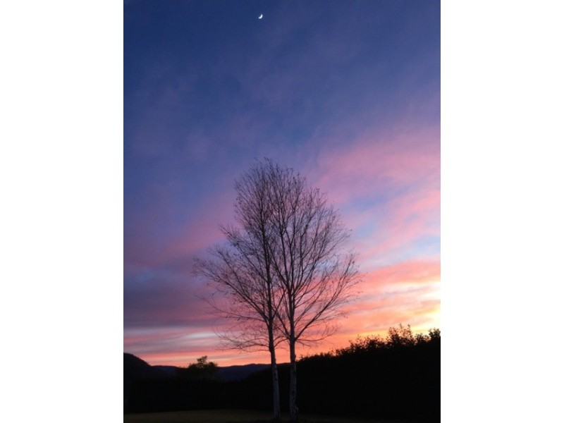 80 Wyndham Close, Daruka NSW 2340