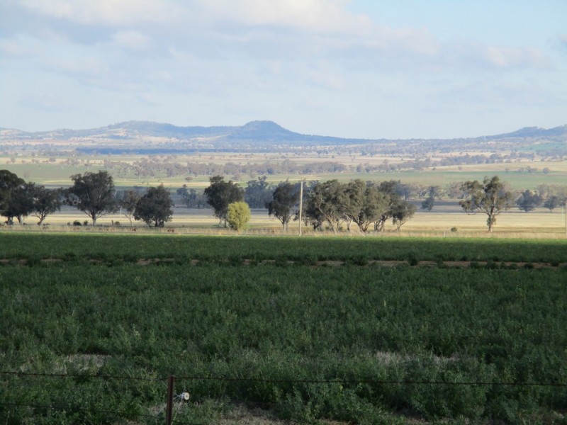 518 Rangari Road, Manilla NSW 2346