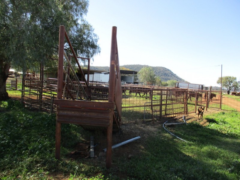 518 Rangari Road, Manilla NSW 2346