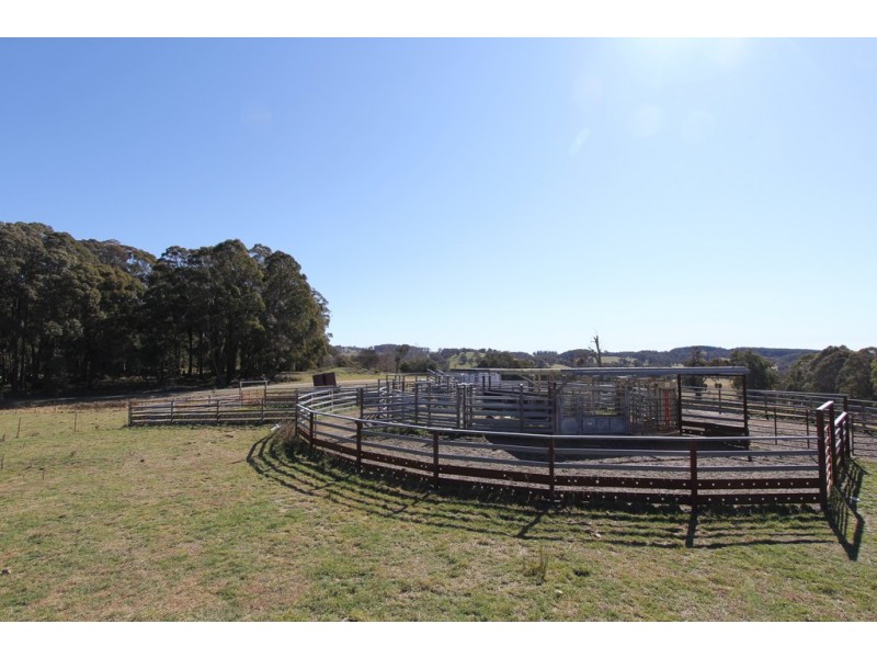 1693 Nowendoc Road, Niangala NSW 2354