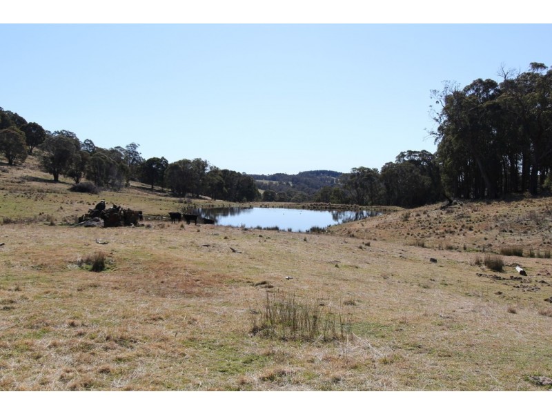 1693 Nowendoc Road, Niangala NSW 2354