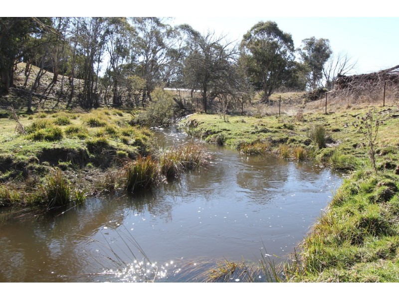 1693 Nowendoc Road, Niangala NSW 2354