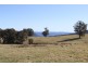 1693 Nowendoc Road, Niangala NSW 2354