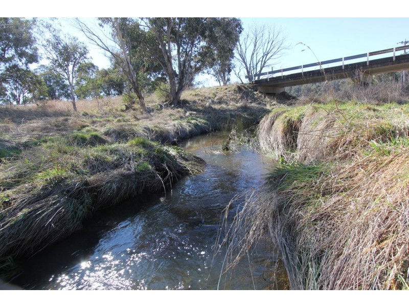 1693 Nowendoc Road, Niangala NSW 2354