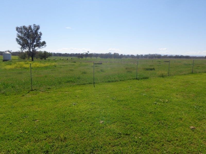 4120 Werris Creek Road, Tamworth NSW 2340