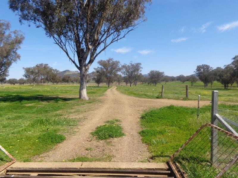 4120 Werris Creek Road, Tamworth NSW 2340