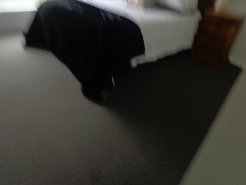 1/19 Emerald Avenue, Tamworth NSW 2340