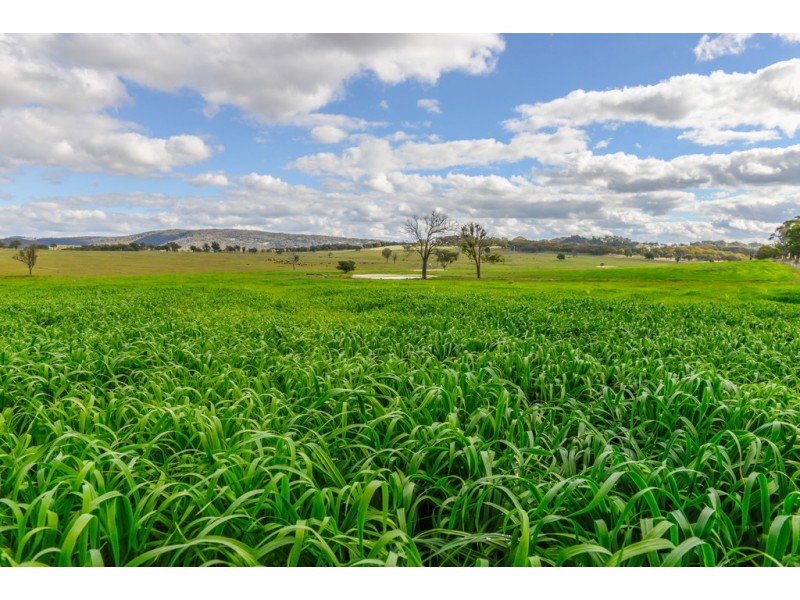 “Birralee” 219 Birralee Road, Bendemeer NSW 2355