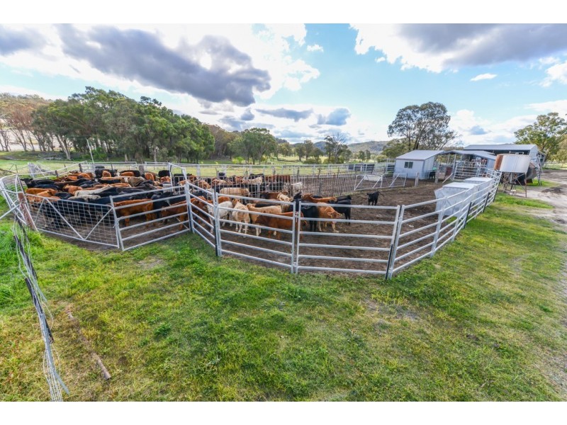 “Birralee” 219 Birralee Road, Bendemeer NSW 2355