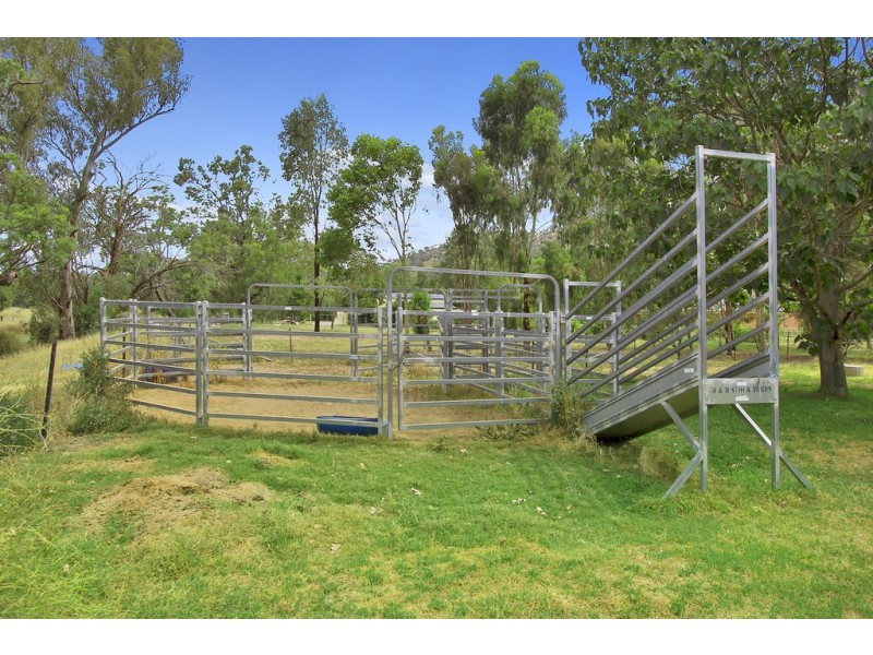 31 Catherine Way, Daruka NSW 2340