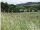 Lot 171 Aurora Street, Bendemeer NSW 2355