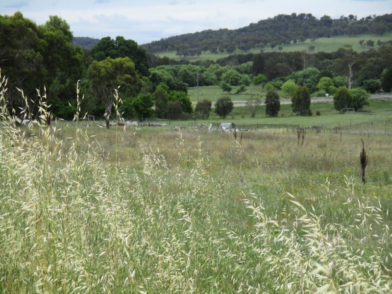 Lot 171 Aurora Street, Bendemeer NSW 2355