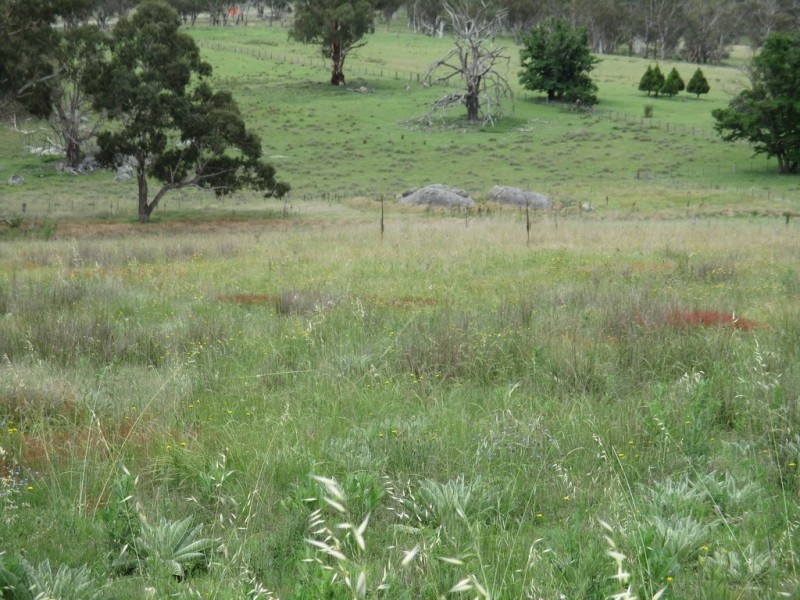Lot 171 Aurora Street, Bendemeer NSW 2355