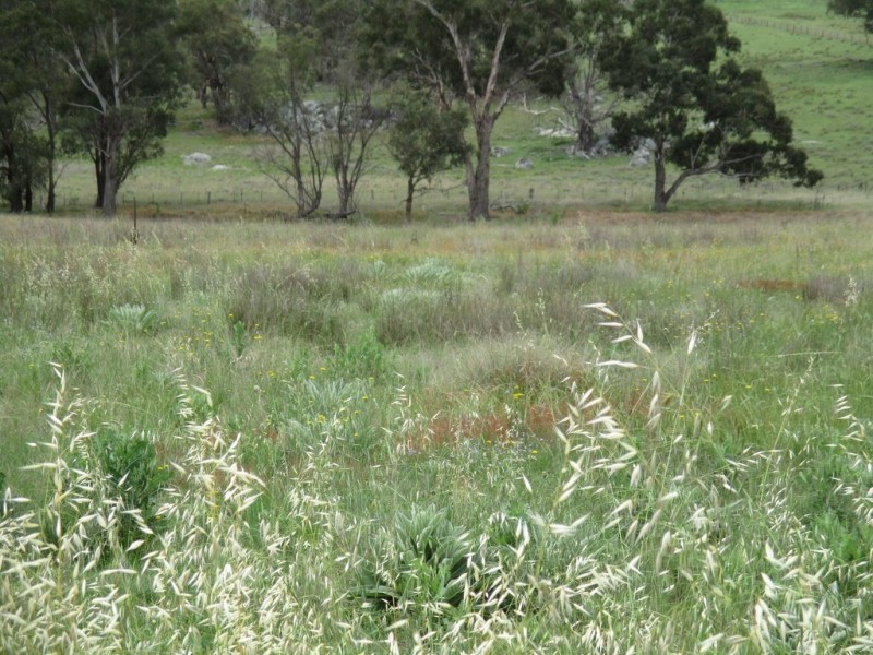 Lot 171 Aurora Street, Bendemeer NSW 2355