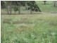 Lot 171 Aurora Street, Bendemeer NSW 2355