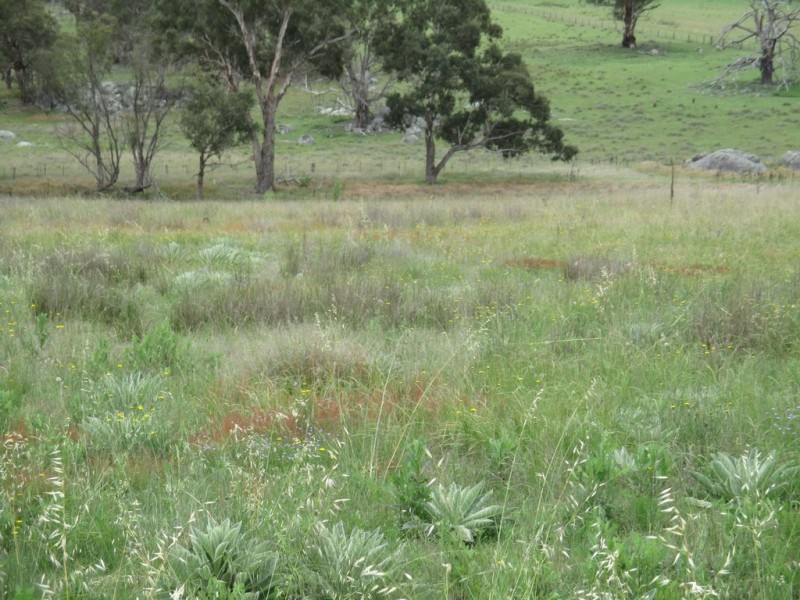 Lot 171 Aurora Street, Bendemeer NSW 2355