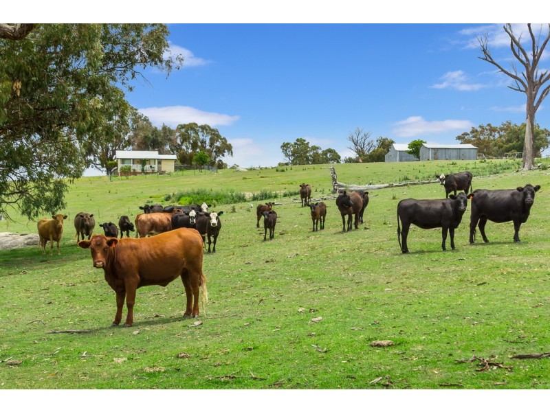 Belltana New England Highway, Bendemeer NSW 2355