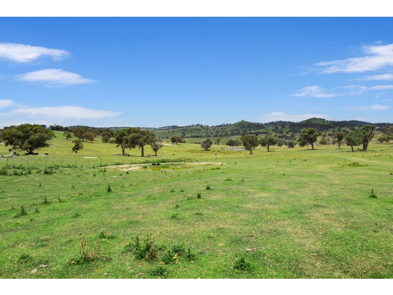 Belltana New England Highway, Bendemeer NSW 2355