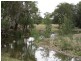 1778 Piallaway Road, Currabubula NSW 2342