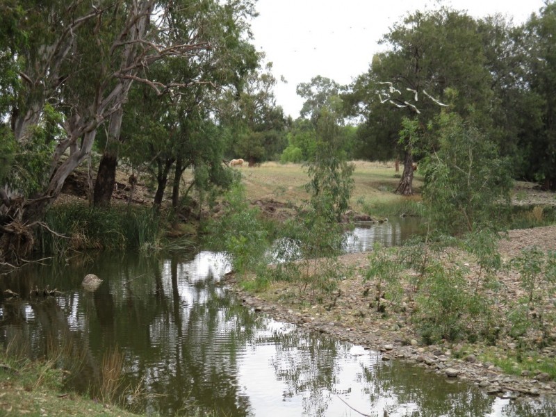 1778 Piallaway Road, Currabubula NSW 2342