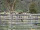 1778 Piallaway Road, Currabubula NSW 2342
