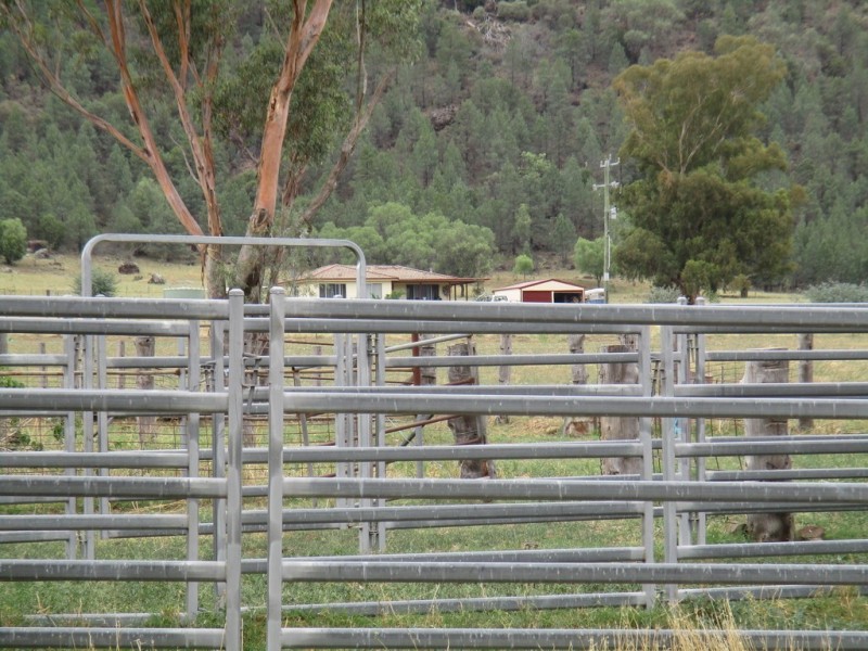 1778 Piallaway Road, Currabubula NSW 2342