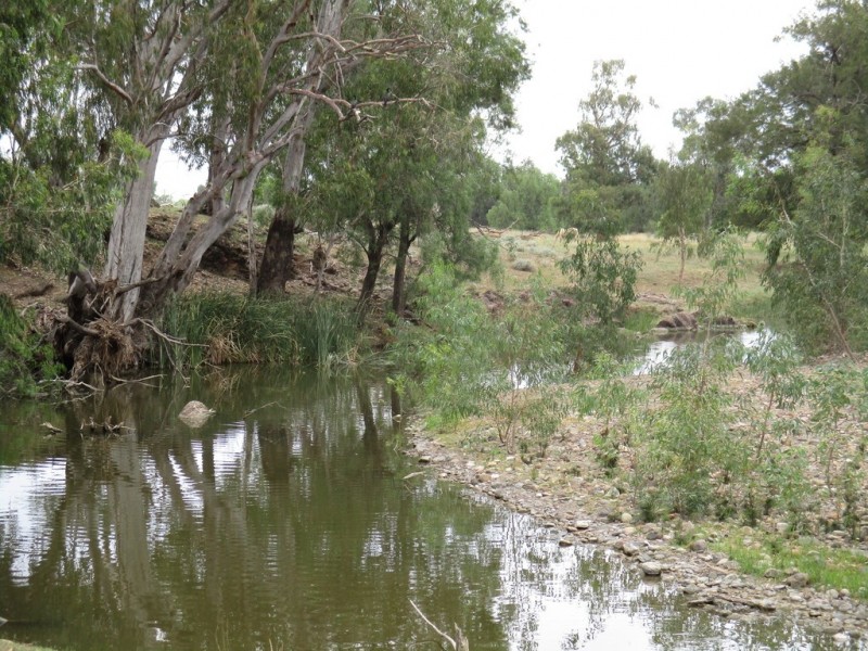 1778 Piallaway Road, Currabubula NSW 2342