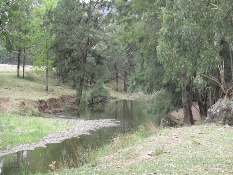 1778 Piallaway Road, Currabubula NSW 2342