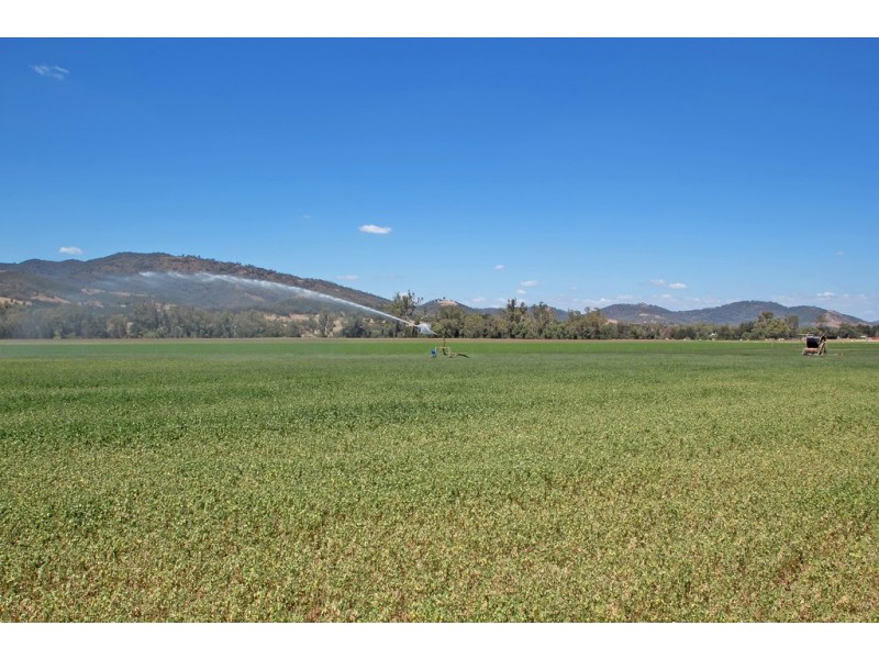 Chelsea Farm 158 Walmar Road, Tamworth NSW 2340