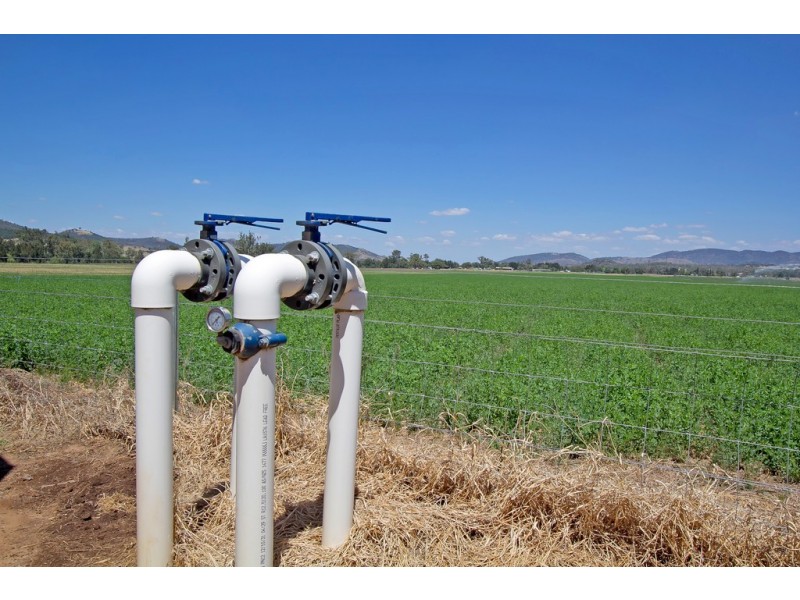 Chelsea Farm 158 Walmar Road, Tamworth NSW 2340