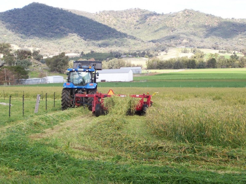 Chelsea Farm 158 Walmar Road, Tamworth NSW 2340